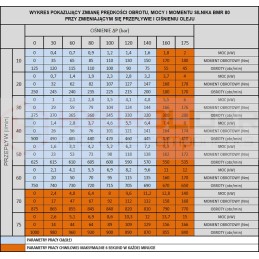 Hidraulinis variklis BMR 80 O2W32 T hidrolideris