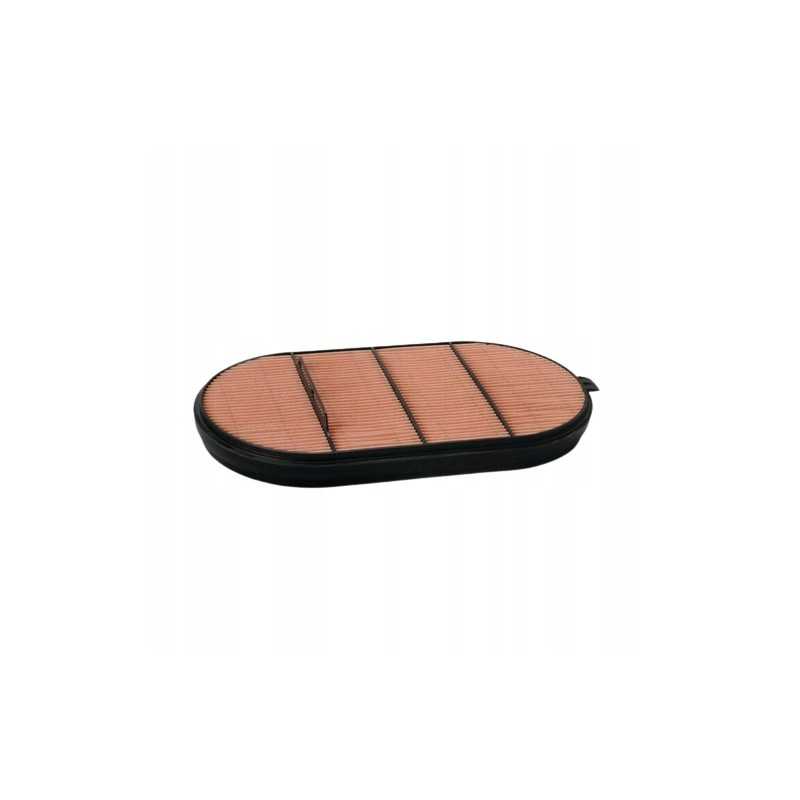 Donaldson P621984 oro filtro įdėklas