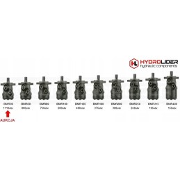 BMR 36 O2W25 hidroliderio hidraulinis variklis