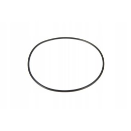 X548979001000 agco svirties įvorės sandarinimo žiedas