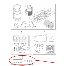 V837079650 variklio tarpiklių komplektas