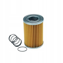 Donaldson hidraulinio filtro įdėklas p171564