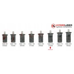 Hidraulinis variklis sms 250 o4w hidrolidrui