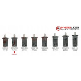 Hidraulinis variklis sms 100 o4w32 p90 hidrolideris