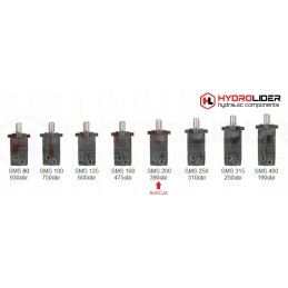 Hidraulinis variklis sms 200 o4w32 pt hidrolideris
