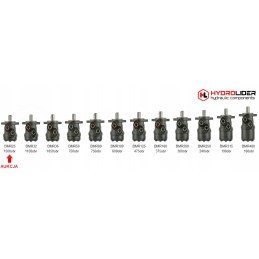 BMR 25 O2W25 P90T hidroliderio hidraulinis variklis