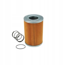 Donaldson hidraulinio filtro įdėklas p171570