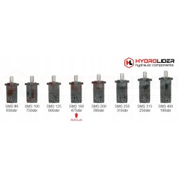 Hidraulinis variklis sms 160 o4w32 t hidrolideris