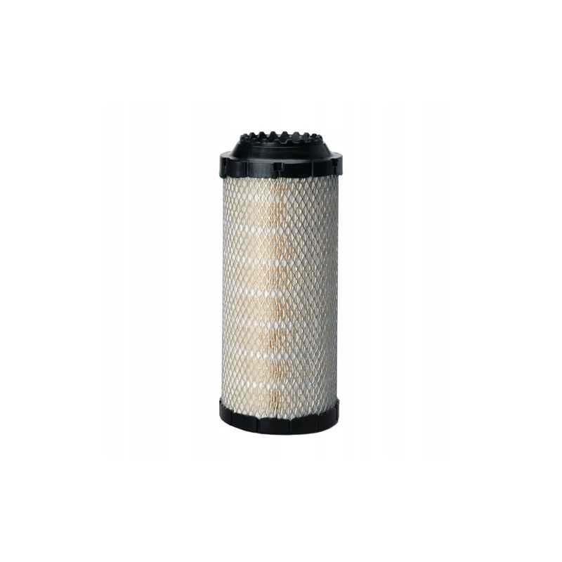 Donaldson oro filtras p778989