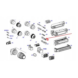 816900043400 lizdo kontaktas