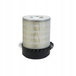 Donaldson P181045 oro filtras