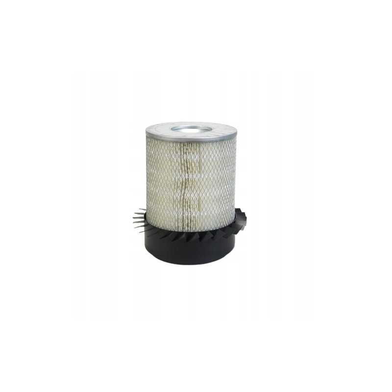 Donaldson P181045 oro filtras