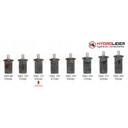 Hidraulinis variklis sms 125 o4 wom hidrolideris