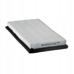 Donaldson oro filtras p609445