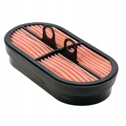 Donaldson P600975 oro filtro įdėklas