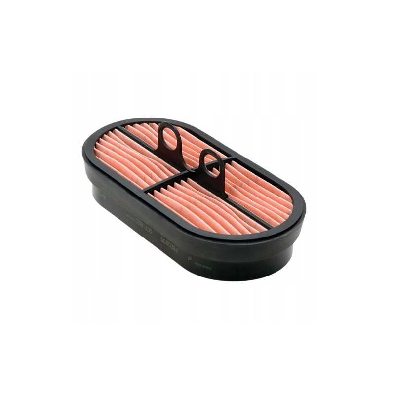 Donaldson P600975 oro filtro įdėklas