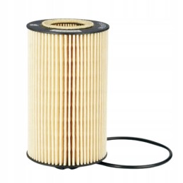 Donaldson P550768 alyvos filtro įdėklas