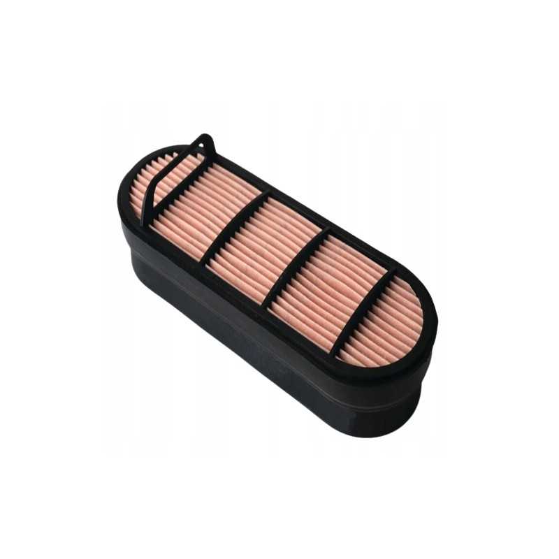 Donaldson oro filtro įdėklas p606121 al150288