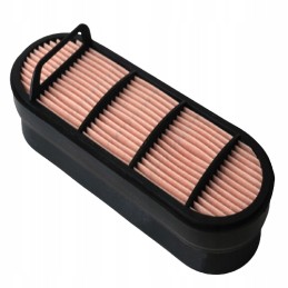 Donaldson oro filtro įdėklas p606121 al150288