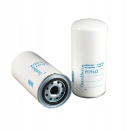 Nusukite Donaldson hidraulinį filtrą p171612