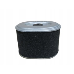 Donaldson oro filtras p786889