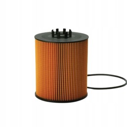 Donaldson P550938 alyvos filtro įdėklas