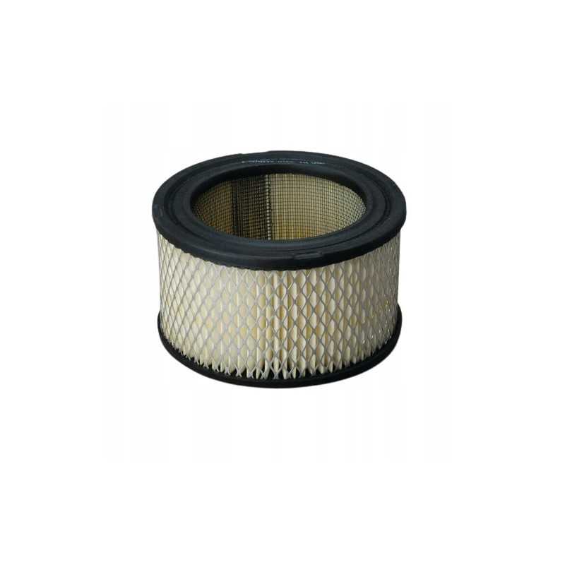 Donaldson oro filtras p607234