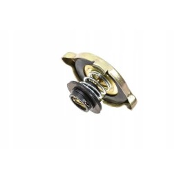 Radiatoriaus dangtelis 81747955n