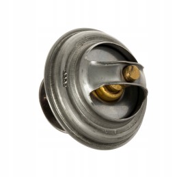 Termostatas landini massey ferguson valtra 4224624m1