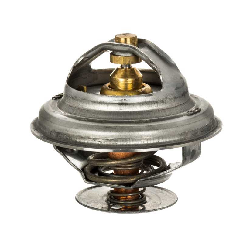 Termostatas landini massey ferguson valtra 4224624m1