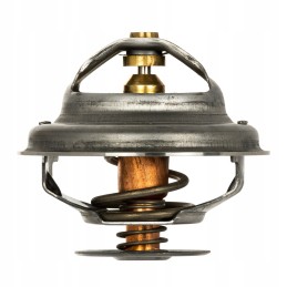 Termostatas landini massey ferguson valtra 4224624m1