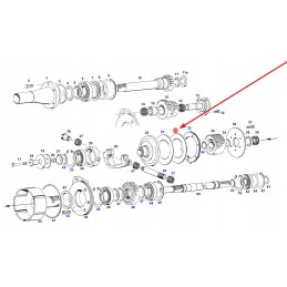 F822100200950 sankabos frikcinis diskas