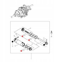 Agco f931860030010 žiedų komplektas