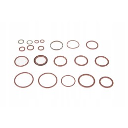 F718960030010 vožtuvo sandariklių komplektas