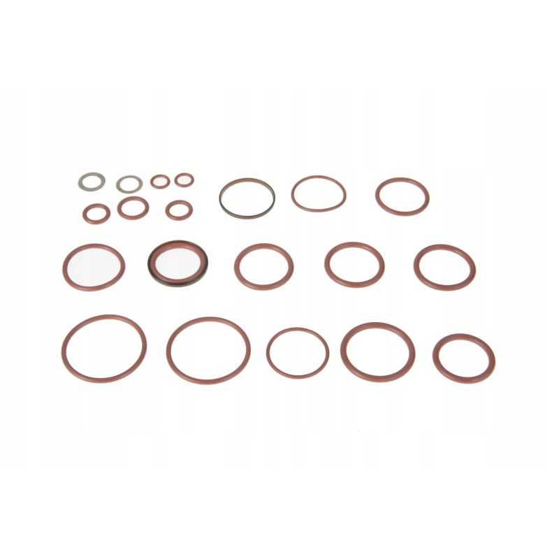 F718960030010 vožtuvo sandariklių komplektas