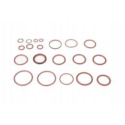 F718960030010 vožtuvo sandariklių komplektas