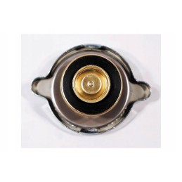 Radiatoriaus dangtelis mf