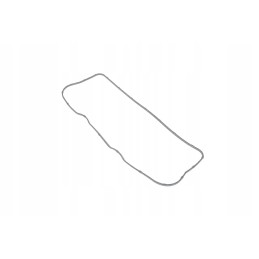 101535 vožtuvo dangtelio tarpiklis