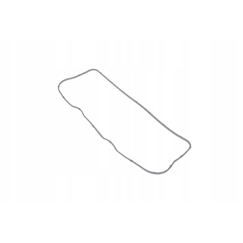 101535 vožtuvo dangtelio tarpiklis