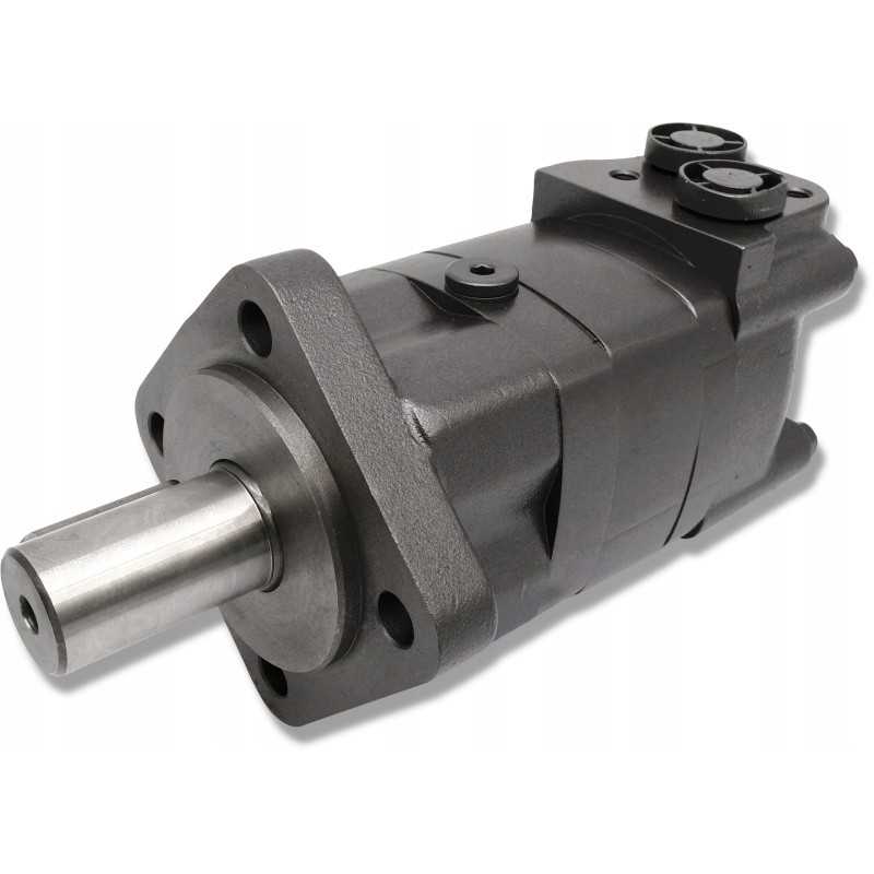 Sustiprintas hydr gr3 variklis 250 cm3 300 aps./min sms