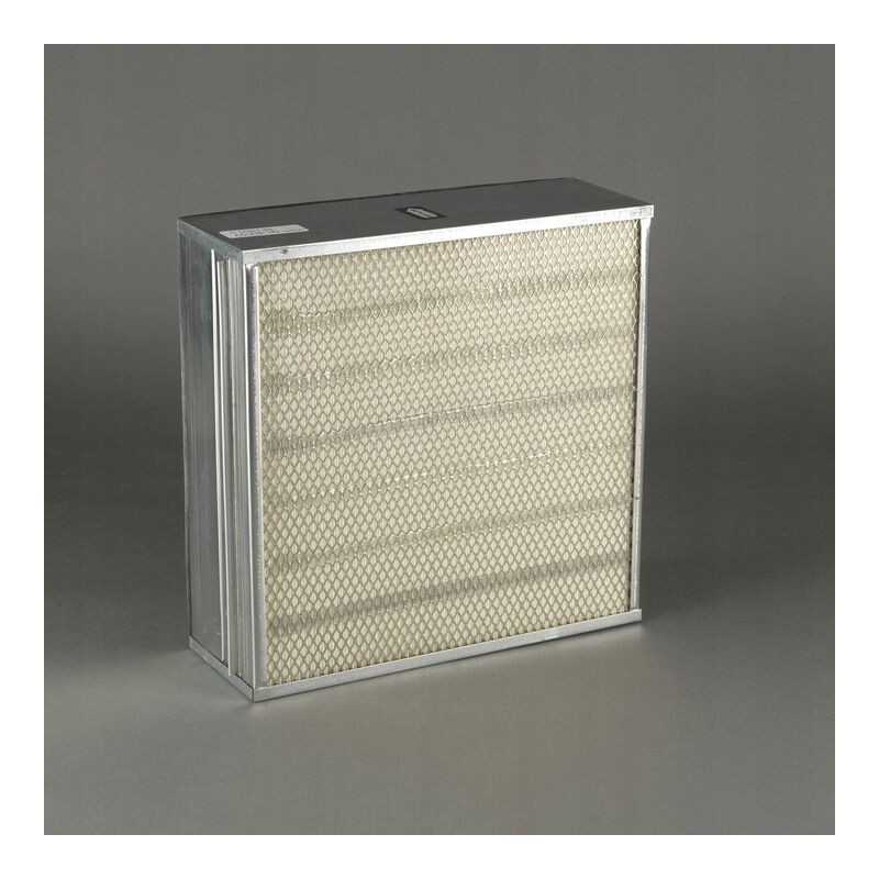 Donaldson P150135 oro filtras