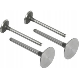 Siurbimo vožtuvas vpa1100