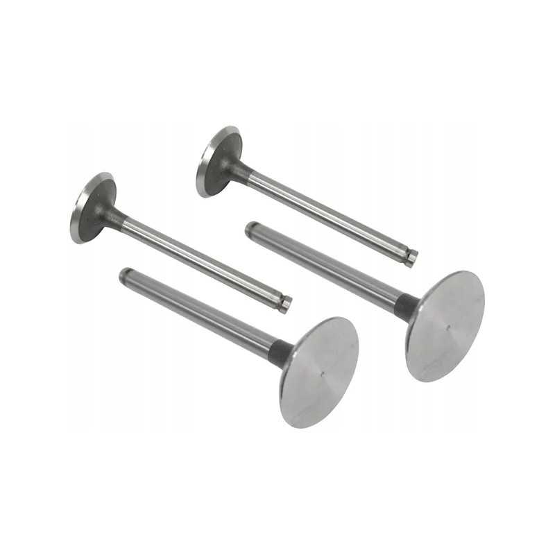 Siurbimo vožtuvas vpa1100