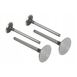 Siurbimo vožtuvas vpa1100