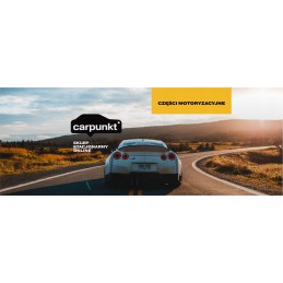 Opelmann Cu2028 salono oro filtras