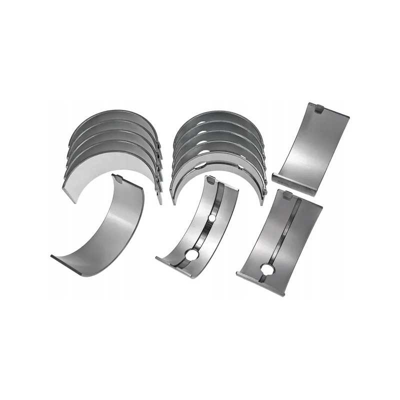 Pagrindinių švaistiklio guolių komplektas