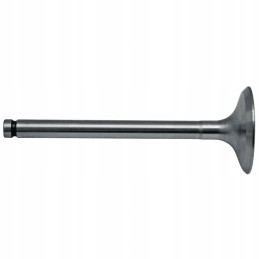 Siurbimo vožtuvas 38015619 granitas