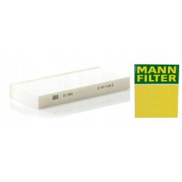 Mann salono oro filtras Renault Twingo