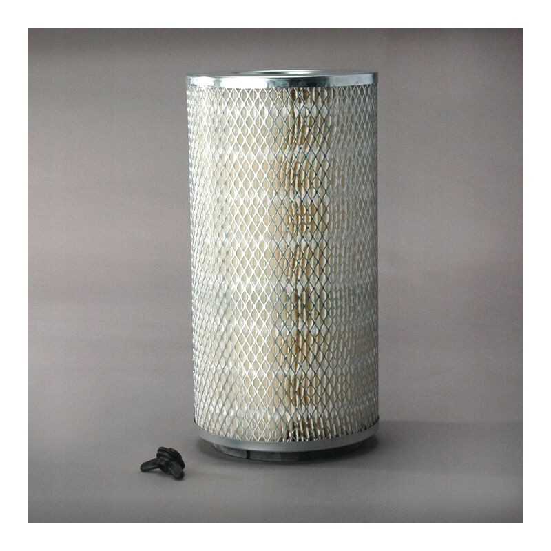 Donaldson oro filtras p123990