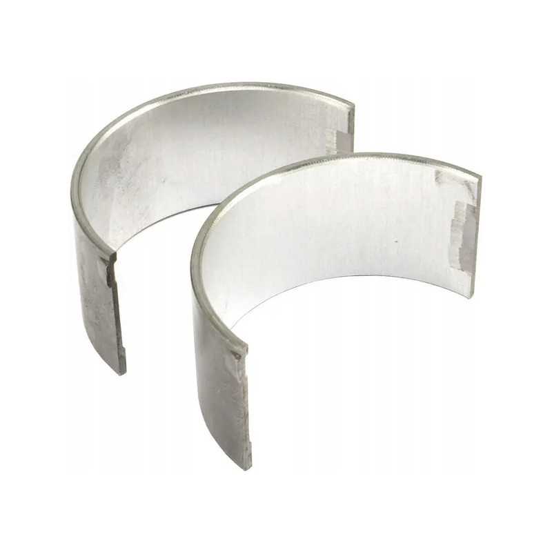 Pora švaistiklio guolių